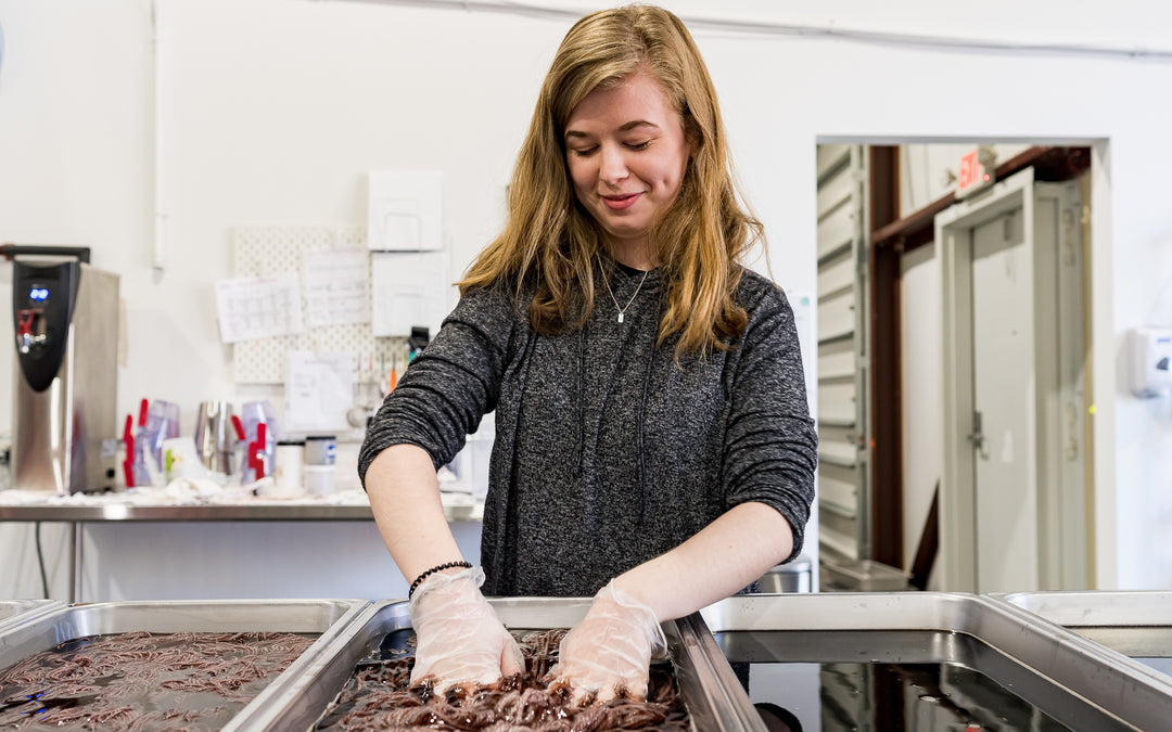 interview with a dyer