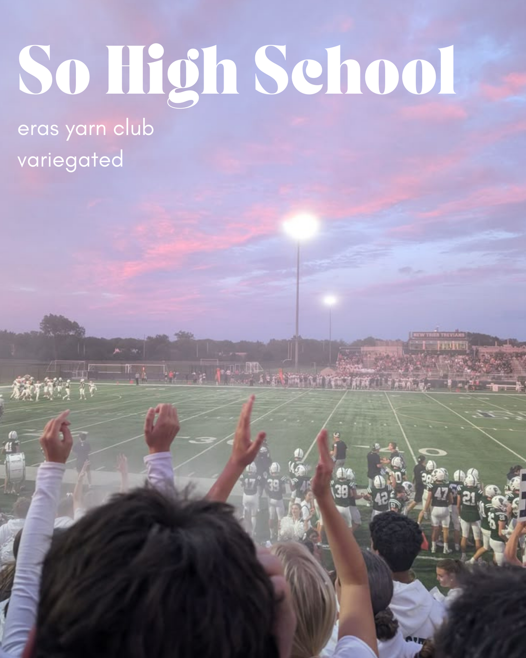 The Eras Yarn Club: August (variegated)