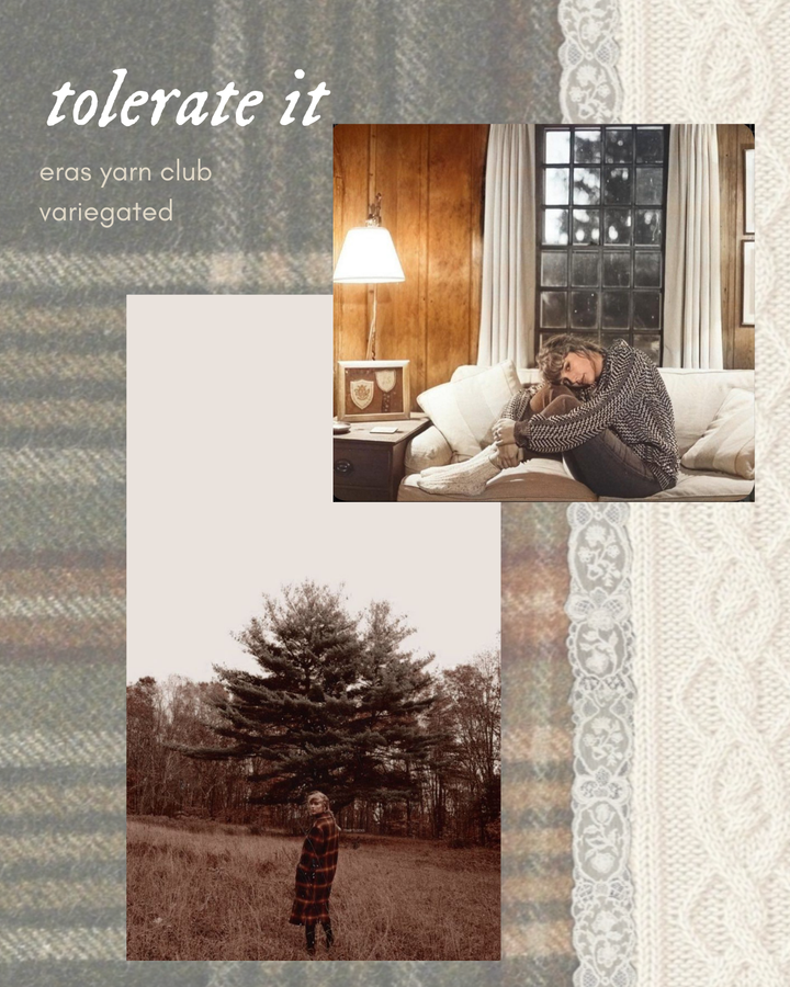 The Eras Yarn Club: December (variegated)