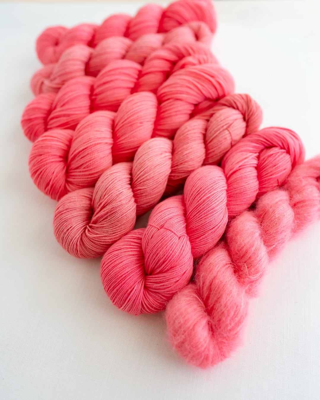 Coral Charm Peony