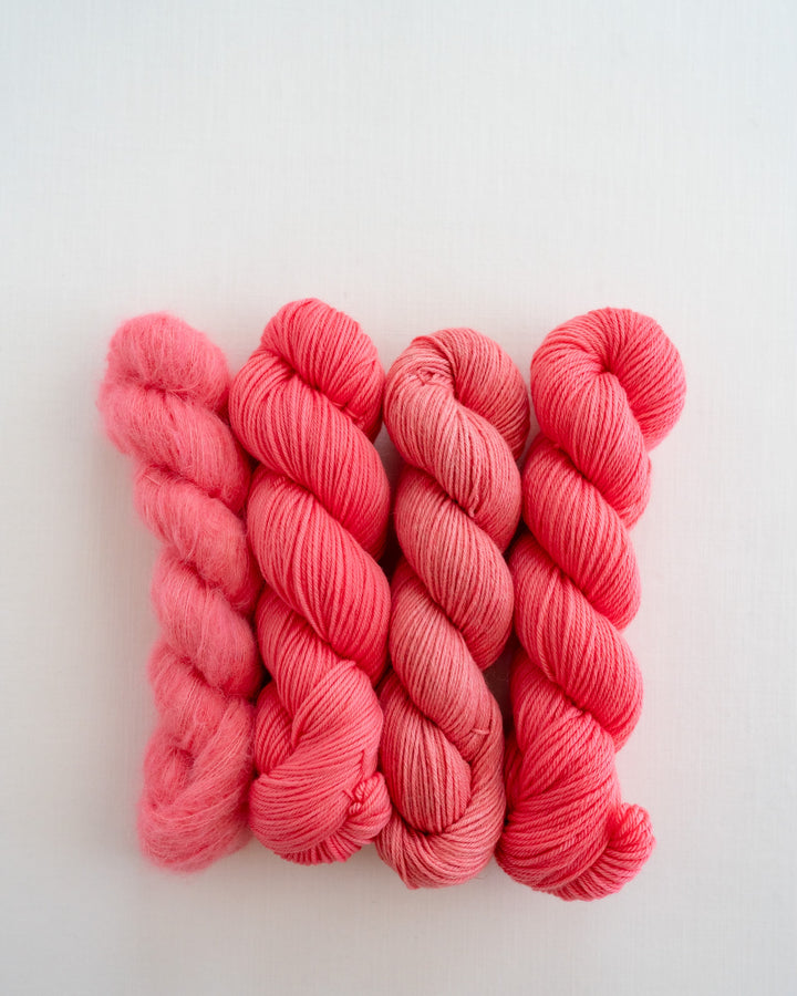 Coral Charm Peony