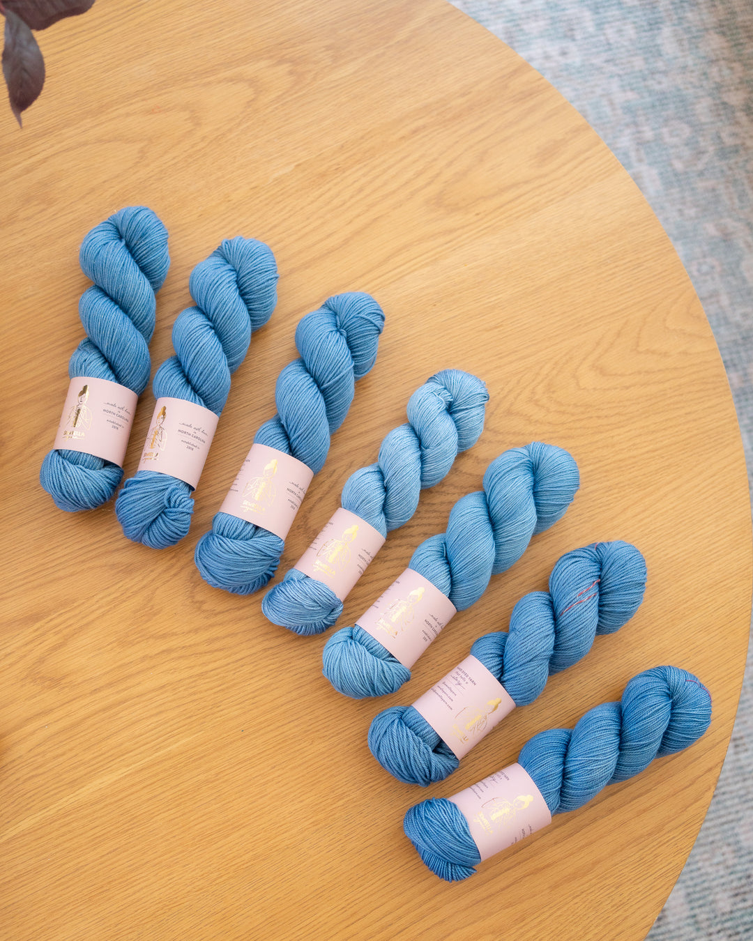 The Eras Yarn Club: September (tonal)