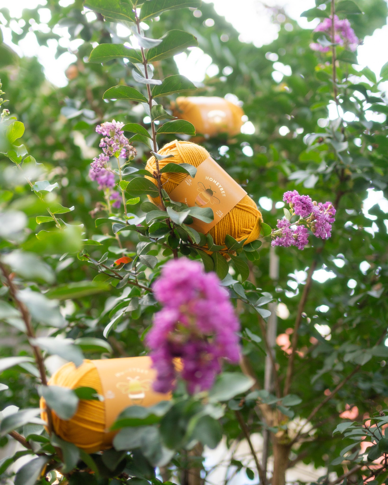Honeybee